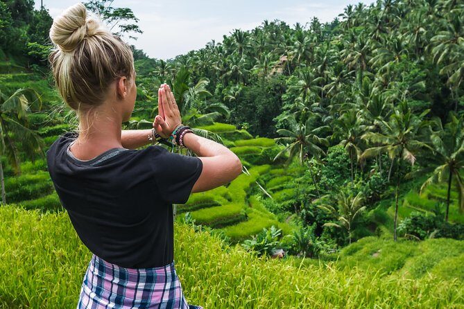 Bali Full Day Tour: Highlights of Ubud and Hidden Waterfall - Exploring the Sacred Monkey Forest Sanctuary