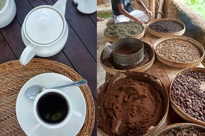 Bali Full Day Tour Ubud and Batur Volcano - Experiencing Bali’s Natural Beauty