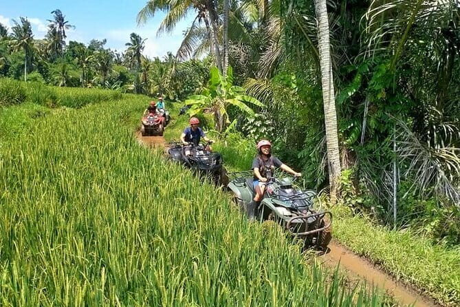 Bali Full-Day Tours : Waterfall and Ubud Destination Trip - FAQ