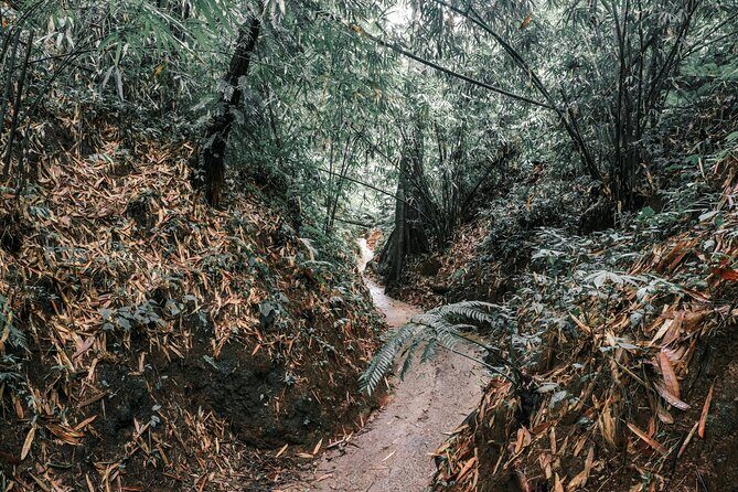 Bali: Gorilla Face ATV Bali Ubud Adventure with Lunch - Frequently Asked Questions (FAQs)