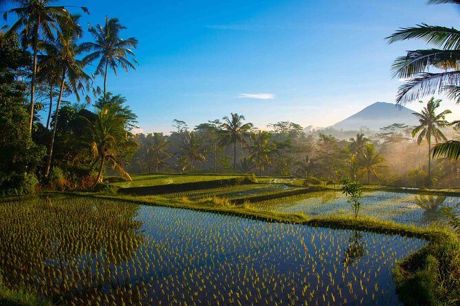 Bali Half Day Photography Tour - Key Points