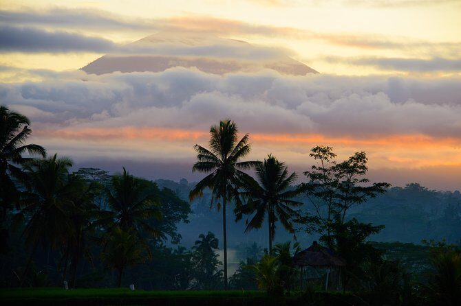 Bali Half Day Photography Tour - Final Thoughts
