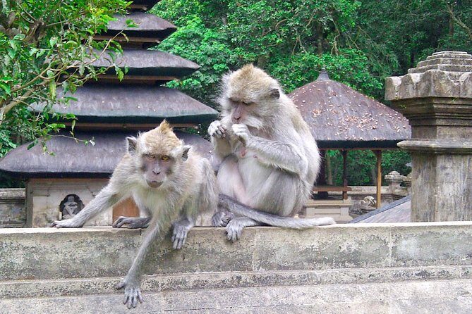 Bali Half-Day TANAH LOT SUNSET, Taman Ayun Temple with Dinner - Key Points