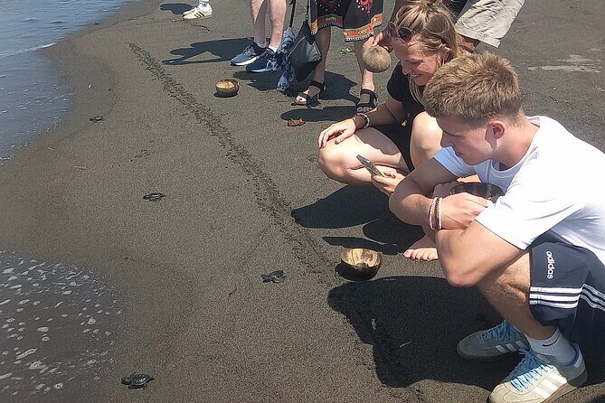 Bali Horse Riding and Turtle Release at Saba Beach - Frequently Asked Questions