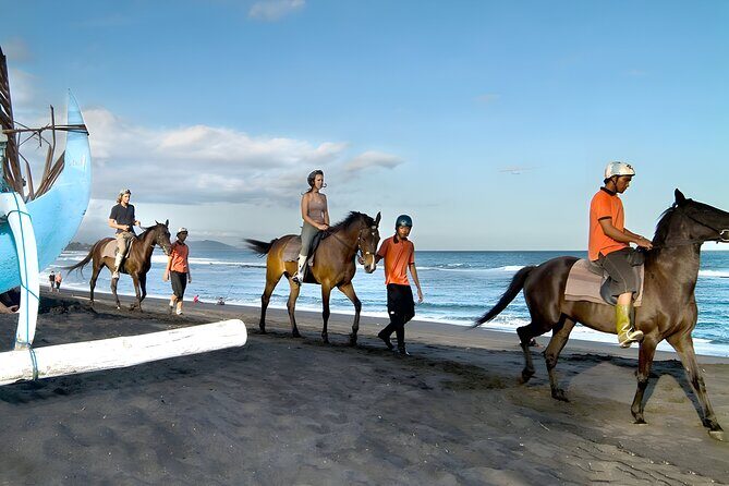 Bali Horse Riding in Saba Bay for 1 Hour with Pick Up Service - Who Should Consider This Tour?