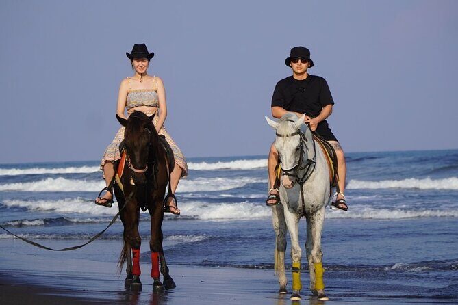 Bali Horse Riding on The Beach Experience - FAQ: Practical Questions About the Bali Horse Riding Experience