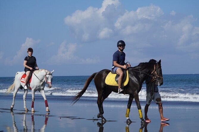 Bali Horse Riding on The Beach Experience - Final Thoughts