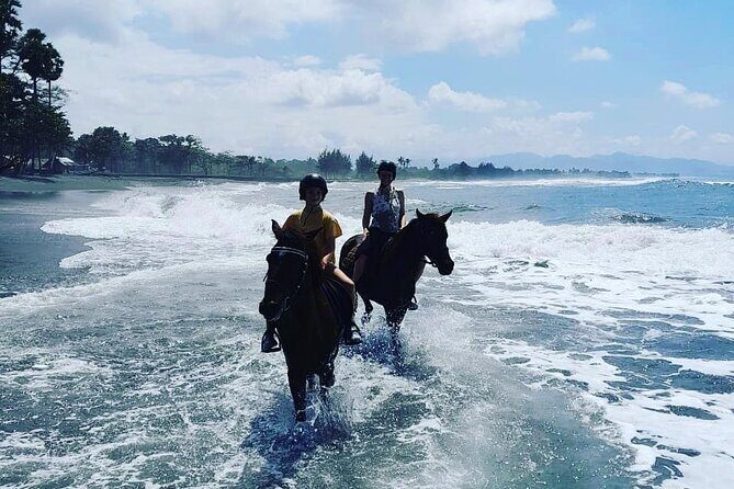 Bali Horse Riding Trot & Canter Saba Beach with Local Temple - Exploring the Bali Horse Riding Experience in Detail