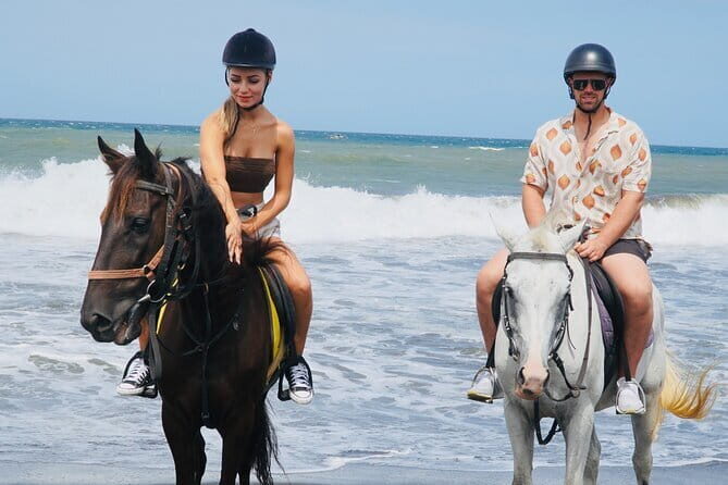 Bali Horse Riding Trot & Canter Sanur Beach include Transport - The Practical Side: Price, Booking, and Considerations
