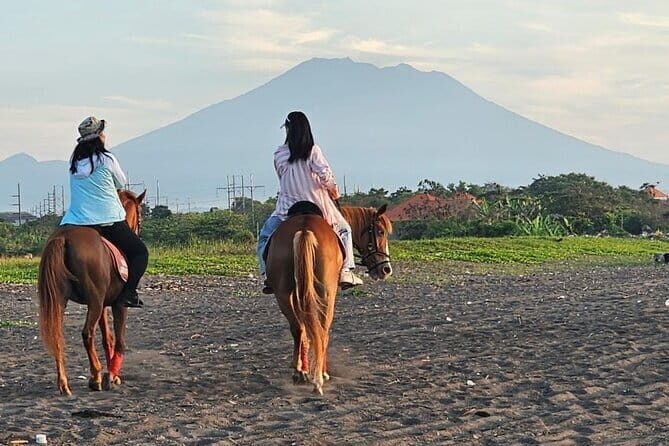 Bali Horse Riding + Waterfall + Rice Terrace + Lunch - A Complete Guide to the Bali Horse Riding + Waterfall + Rice Terrace Tour