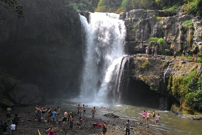 Bali Horse Riding + Waterfall + Rice Terrace + Lunch - Final Thoughts