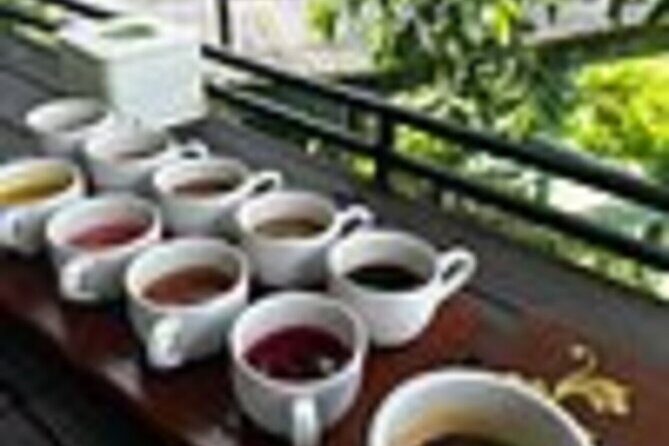 Bali in 1-Day : Rice Terrace, Volcano, Tanah lot - All Inclusive - Final Thoughts: Is It Worth It?