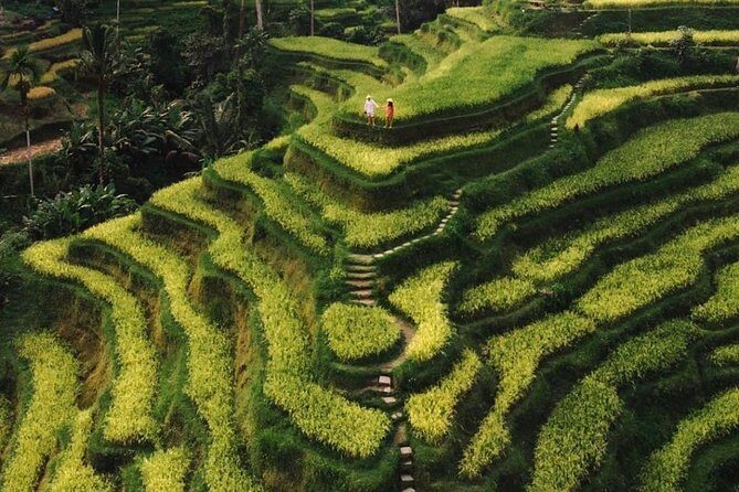 Bali Instagram Tour - All Inclusive - Exploring the Bali Instagram Tour in Detail