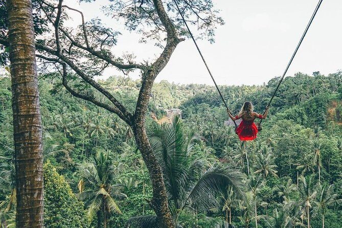 Bali Instagram Tour from Your Hotel (Private & Full-day) - A Deep Dive into the Bali Instagram Tour