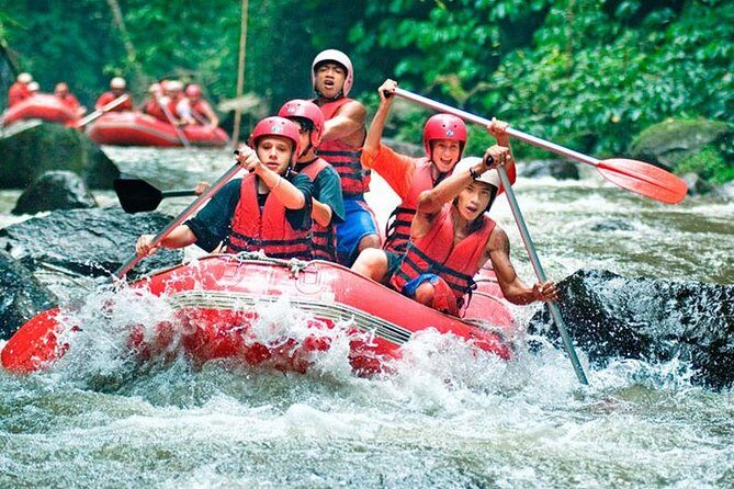 Bali Jungle Swing and White Water Rafting All Inclusive - The Sum Up