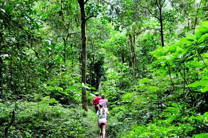Bali Jungle Trekking in Beautiful Rainforest - An In-Depth Look at the Bali Jungle Trekking Tour