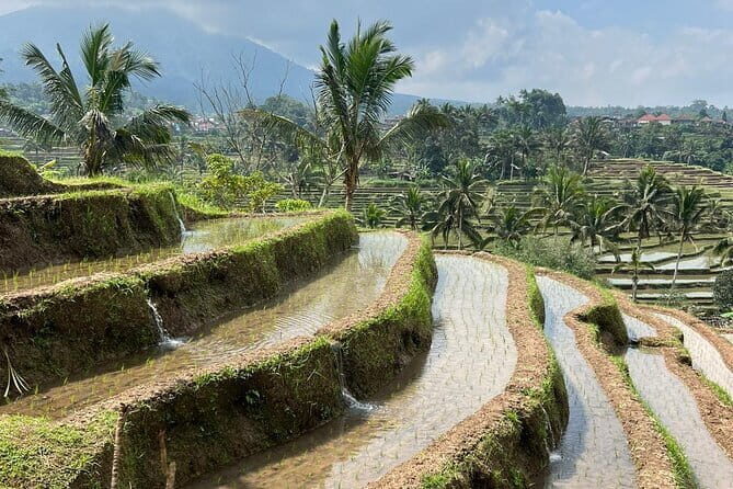 Bali Lake Bratan, Twin Lake, Jatiluwih Terrace, Hidden Waterfall - Key Points