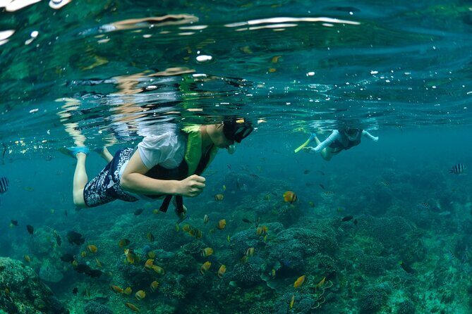 Bali Lembongan Island Beach Club Day Trip - Key Points