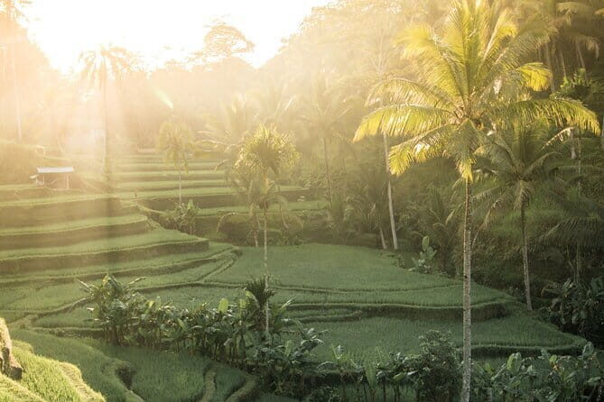 Bali: Lempuyang Temple, Waterfall & Rice Terrace Private Tour - Key Points