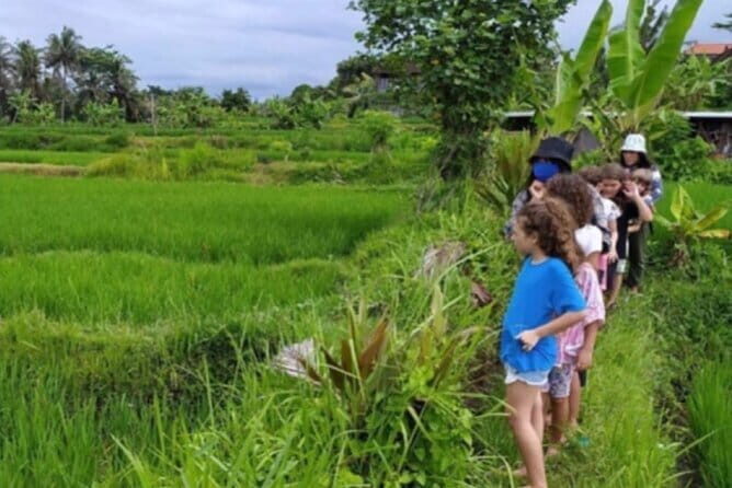 Bali: Lempuyang Temple, Waterfall & Rice Terrace Private Tour - FAQ