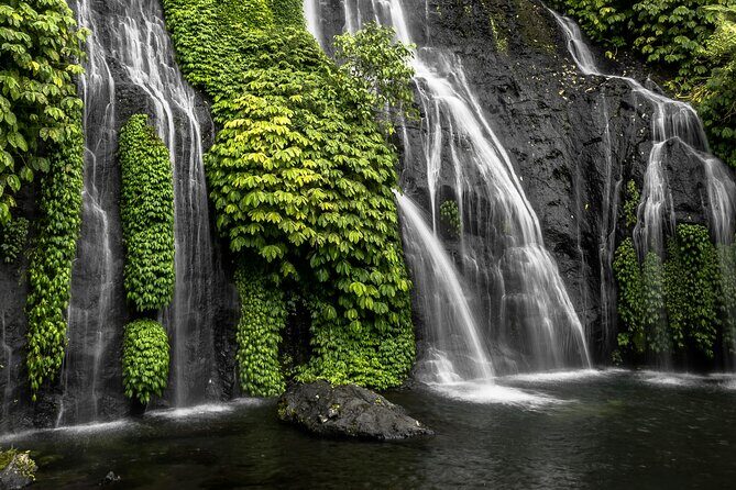 Bali Lovina Dolphin and North Bali Sightseeing - All Inclusive - Key Points