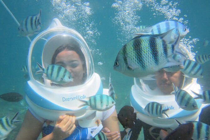 Bali Marine 3 Private Activities with Hotel Pick up - Final Thoughts