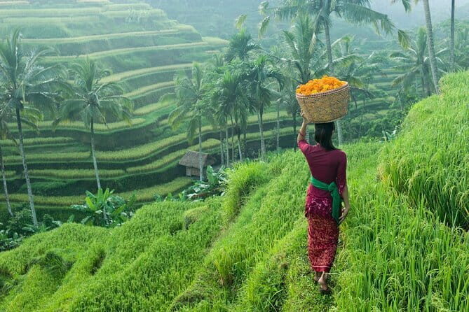 Bali: Monkey Forest, Rice Terrace and Ubud Market Guided Tour - Who Will Enjoy This Tour?