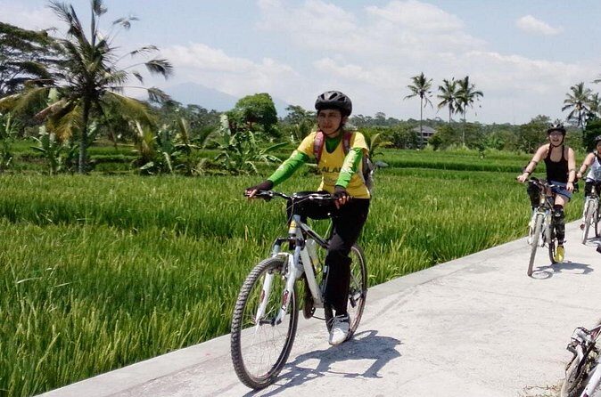 Bali Mountains and Villages Cycling Tour - A Closer Look at the Bali Mountains and Villages Cycling Tour