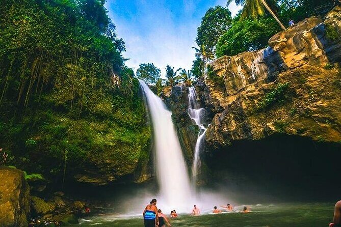 Bali Night Market Experience and Ubud Highlights tour - The Sum Up