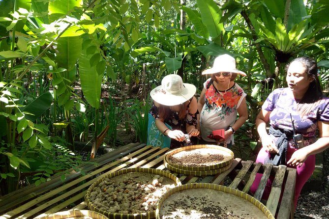 Bali Night Market Experience and Ubud Highlights tour - FAQ