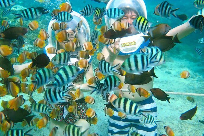 Bali Ocean Walker - Key Points