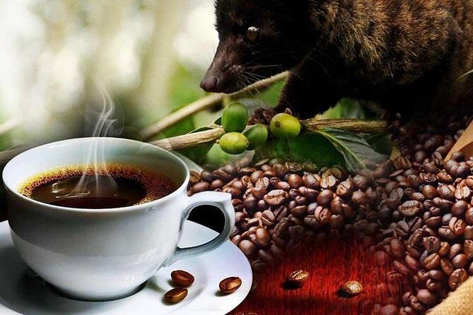 Bali Package Tour: 3 Days & 2 Night - Key Points