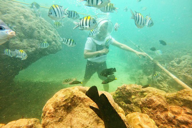 Bali Parasailing Adventure - Authentic Traveler Insights