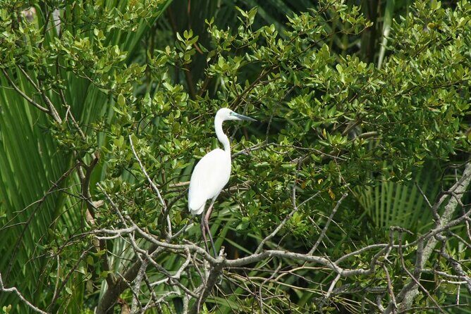 Bali: Point of Bliss massage with mangrove Kayaking and GWK Park - Key Points