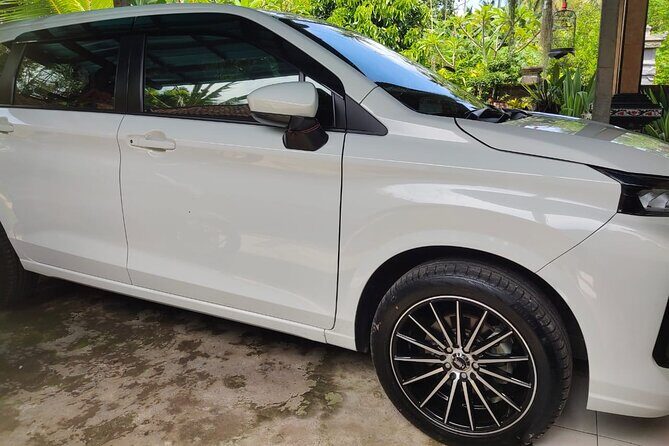 Bali Private Car and Customize Tour With English Speaking Driver - Wrapping It Up