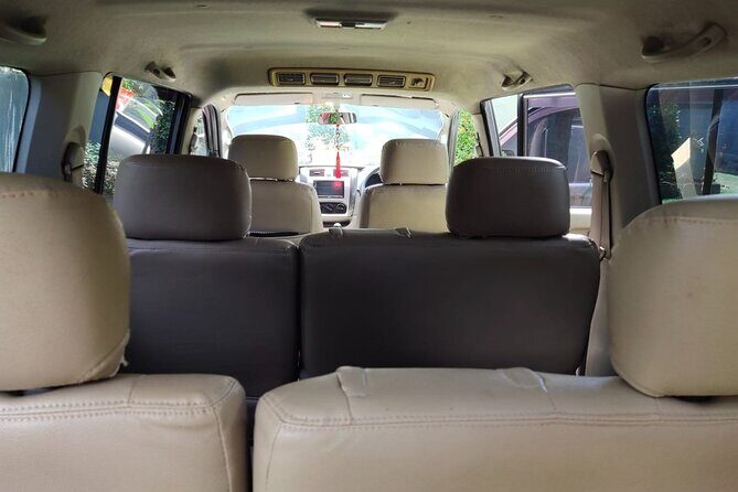 Bali Private Car Charter & Customize Tour With Driver English Speaking-Free WiFi - Who is this tour best suited for?