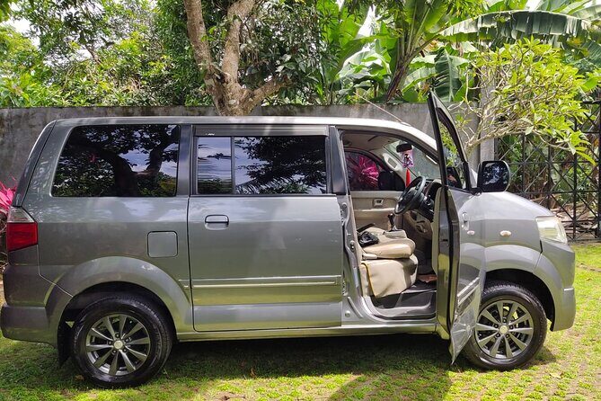 Bali Private Car Charter & Customize Tour With Driver English Speaking-Free WiFi - In The Sum Up