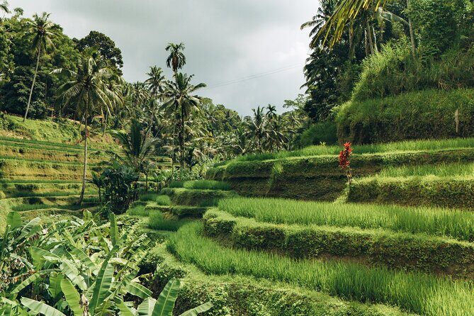 Bali Private Car Full Day Customized Tour With Drone Service - The Value of This Tour