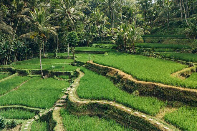 Bali Private Car Full Day Customized Tour With Drone Service - Who Will Love This Experience?