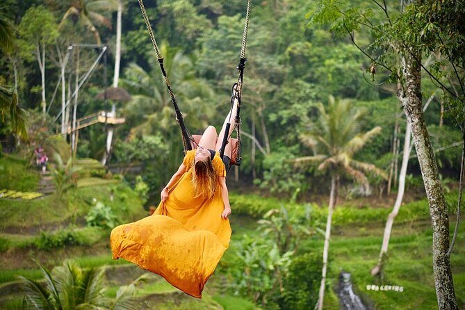 Bali Private Car Hire with English-Speaking Driver - Unpacking Your Bali Private Car Tour