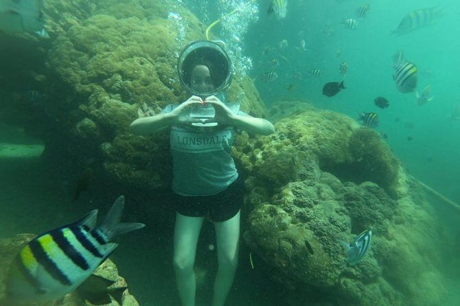 Bali Private Driver - Bali customized private tour - A Detailed Look at the Itinerary and Experience