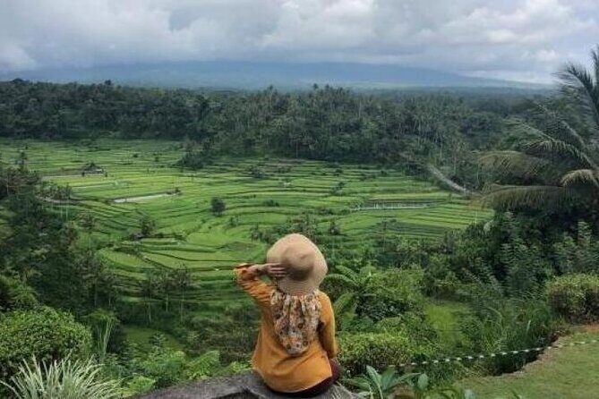 Bali Private Driver For Tour in Bali - An In-Depth Look at the Bali Private Driver Tour