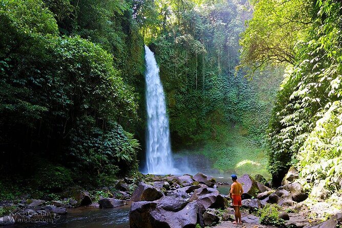 Bali Private Driver For Tour in Bali - Transportation and Logistics