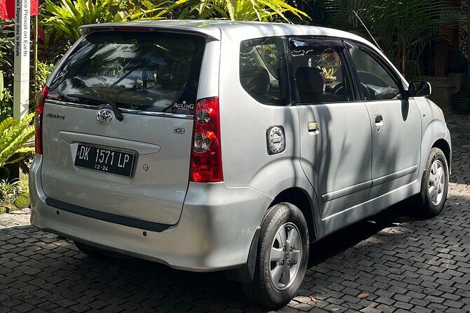 Bali Private Full Day Tour to Visit the Best Waterfalls and Swing near Ubud - A Closer Look at the Waterfalls and Attractions