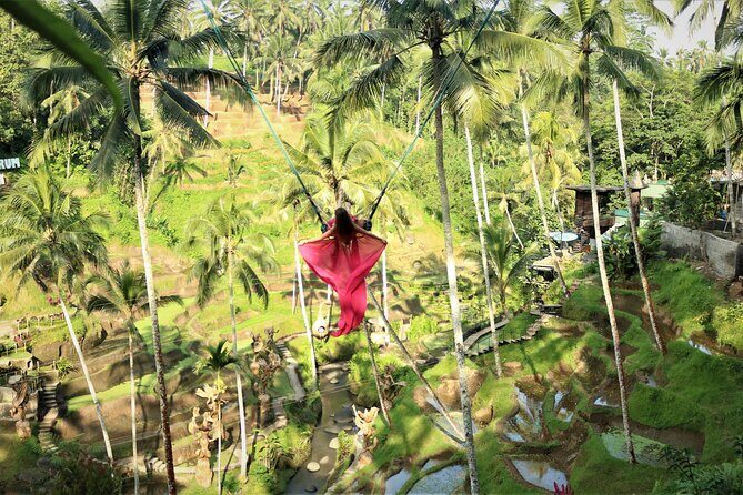 Bali Private Full Day Tour to Visit the Best Waterfalls and Swing near Ubud - A Fully Balanced Experience for Waterfall and Nature Lovers