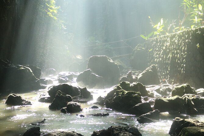 Bali Private Full Day Tour to Visit the Best Waterfalls and Swing near Ubud - Final Thoughts