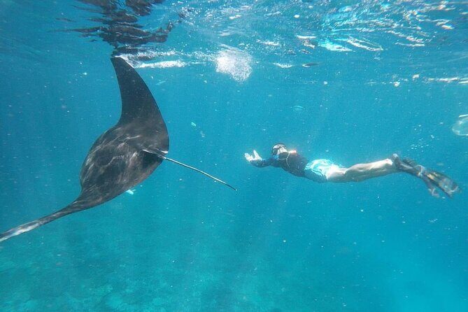Bali Private Snorkeling (Manta, Gamat, Wall) and Nusa Penida Tour - Key Points