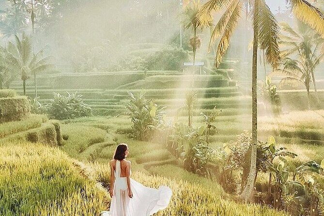 Bali Private Tour - Best of Ubud - All Inclusive - The Practical Side: Comfort, Flexibility, and Value