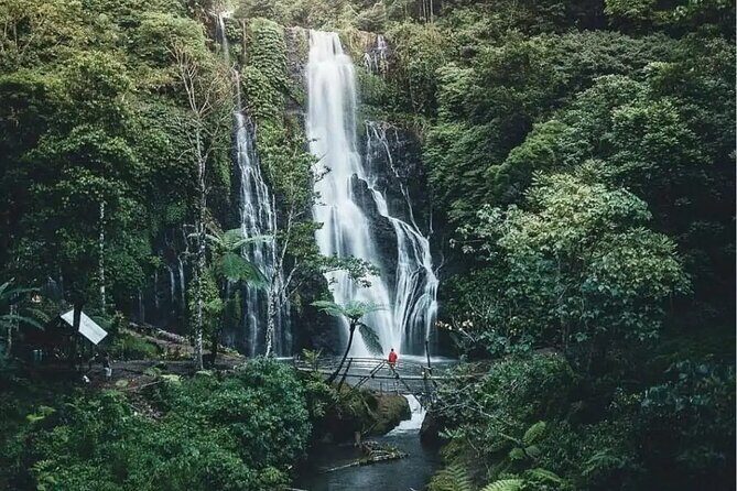 Bali Private Tour: Handara Iconic Gate, Watefall and Temple - FAQ