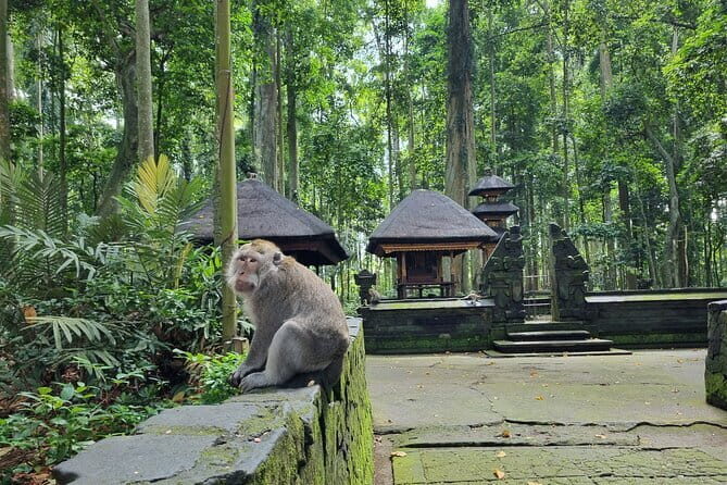 Bali Private Tour Nung-Nung Waterfall and Tanah Lot Temple - Who Will Love This Tour?